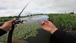 【城沼・多々良川】初夏の沼バス　館林沼巡り編