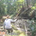 感動で震える魚との出会い！！！  神奈川西部で小物釣り。