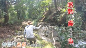 感動で震える魚との出会い!!! 神奈川西部で小物釣り。