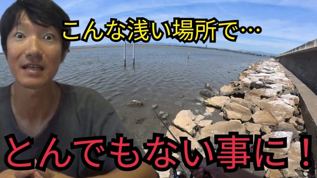 浜名湖の超浅瀬で釣りしたら…