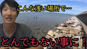浜名湖の超浅瀬で釣りしたら…