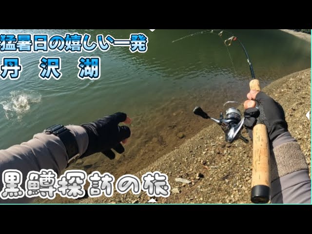 猛暑日の嬉しい一発/丹沢湖#バス釣り