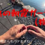 【朝霞ガーデン】７月２６日釣行記録【エリアトラウト】