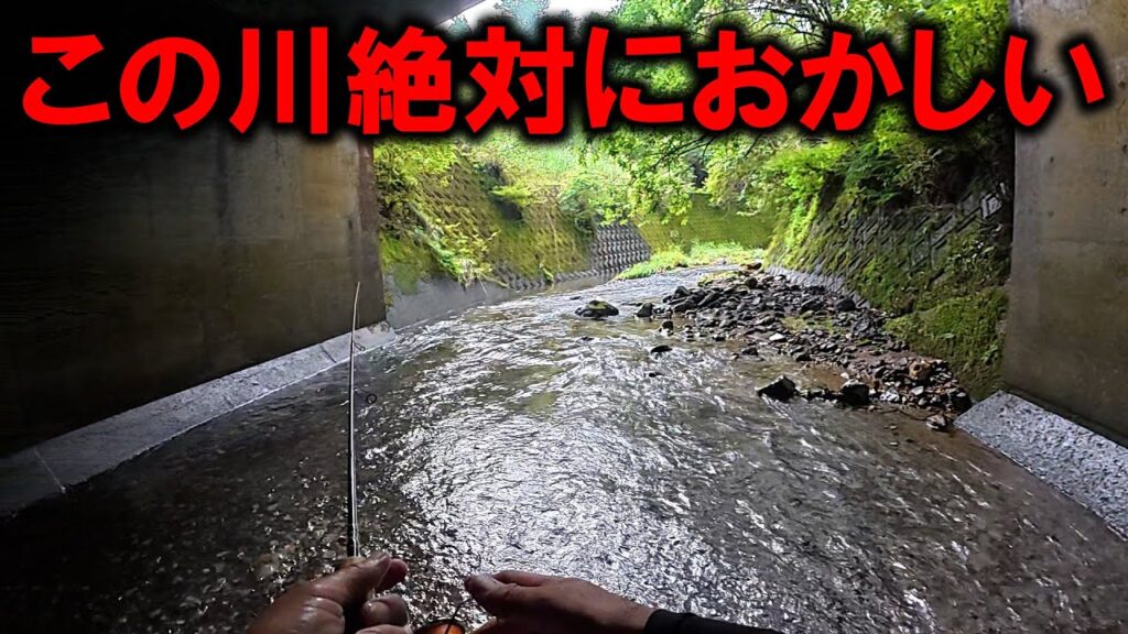 釣り堀状態の川!? 渓流で起きた“あきらかに異常な現象”