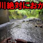 釣り堀状態の川!? 渓流で起きた“あきらかに異常な現象”