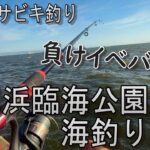 サビキ釣り【鳴尾浜臨海公園海づり広場】兵庫県 西宮市