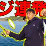 誰でも釣れる？堤防からのアジ釣りで大爆釣！！