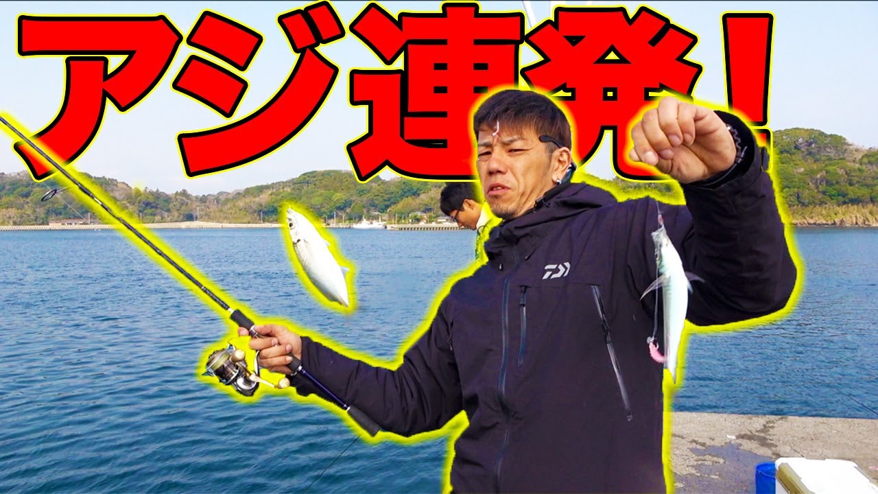 誰でも釣れる?堤防からのアジ釣りで大爆釣!!
