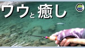 うらたんでワウに癒される【エリアトラウト】【管理釣り場】【うらたんざわ渓流釣場】