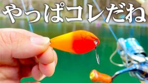 管釣りの大物が思わず口を使う、今このスプーンがアツ過ぎる！【エリアトラウト】【管理釣り場】