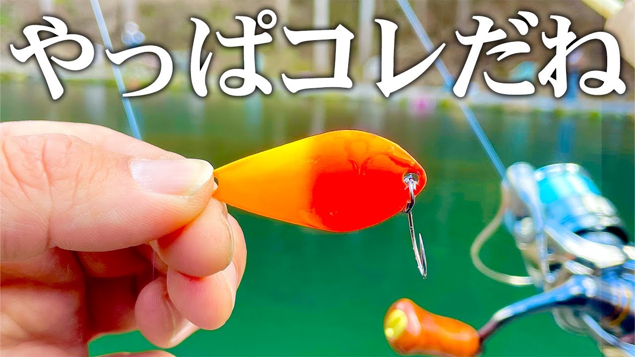 管釣りの大物が思わず口を使う、今このスプーンがアツ過ぎる!【エリアトラウト】【管理釣り場】