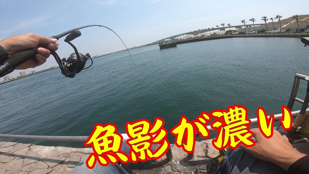 【魚影の濃いポイントへ】釣り/海釣り/かぶせ釣り/浜名湖/表浜名湖/新居海釣り公園/クロダイ/ヘダイ/イシダイ/コブダイ/サンバソウ/グレ/メジナ