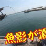 【魚影の濃いポイントへ】釣り/海釣り/かぶせ釣り/浜名湖/表浜名湖/新居海釣り公園/クロダイ/ヘダイ/イシダイ/コブダイ/サンバソウ/グレ/メジナ