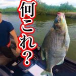 【バスフィッシング】バス釣りしてたらコレ釣れた！【花室川】
