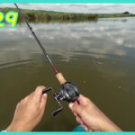 【印旛沼中央排水路】サイズアップを狙って【バス釣り】