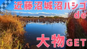 【ウキ釣りだいちゃん】やったぜ!近藤沼・城沼ハシゴで大物ゲット!(群馬県館林市)