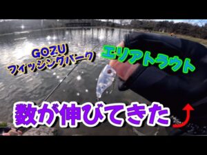 【管理釣り場】トップに反応！数の自己記録更新！