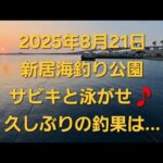 浜名湖　新居海釣り公園で夜のサビキと泳がせ釣行🎵