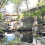 【渓流釣り】岩泉・龍泉洞で渓流釣りをやる！