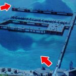 【緊急公開】今タチウオが爆釣してる釣り公園が凄すぎた。足元にギラギラの群れが湧いて入れ食い状態、釣れまくりの衝撃映像！！！ #太刀魚