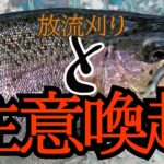 放流と言うものを体験したい、注意喚起(エリアトラウト、管釣り初心者、管理釣り場)