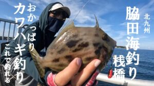 【釣り公園でカワハギ釣り】脇田海釣り桟橋で今年も開幕カワハギ釣り！この仕掛けとエサで釣れたよ【好きっちゃ釣行記】