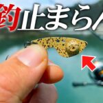 【圧倒的】管釣りの聖地でこのルアーを投げるとデカ鱒が無限に喰ってくる【エリアトラウト】【管理釣り場】
