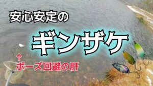 【管理釣り場】たちまち何か釣りたい時はこの魚! ※たちまち→広島弁でとりあえず