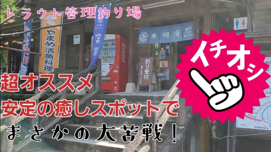 イチオシの管理釣り場で大苦戦( ´・∀・｀)#管理釣り場 #エリアトラウト#木郷滝自然つりセンター