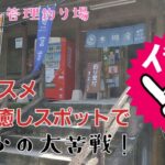 イチオシの管理釣り場で大苦戦( ´・∀・｀)#管理釣り場 #エリアトラウト#木郷滝自然つりセンター