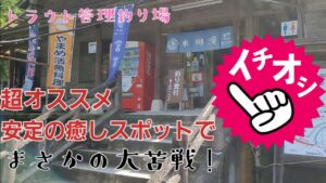イチオシの管理釣り場で大苦戦( ´・∀・｀)#管理釣り場 #エリアトラウト#木郷滝自然つりセンター