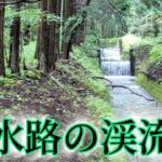 用水路餌釣り　　水路には綺麗な渓流魚が棲んでいる！