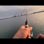 直近最速📢間一髪!!竿が無くなる所でした…【浜名湖釣り】🎣