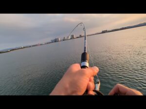 直近最速📢間一髪!!竿が無くなる所でした…【浜名湖釣り】🎣