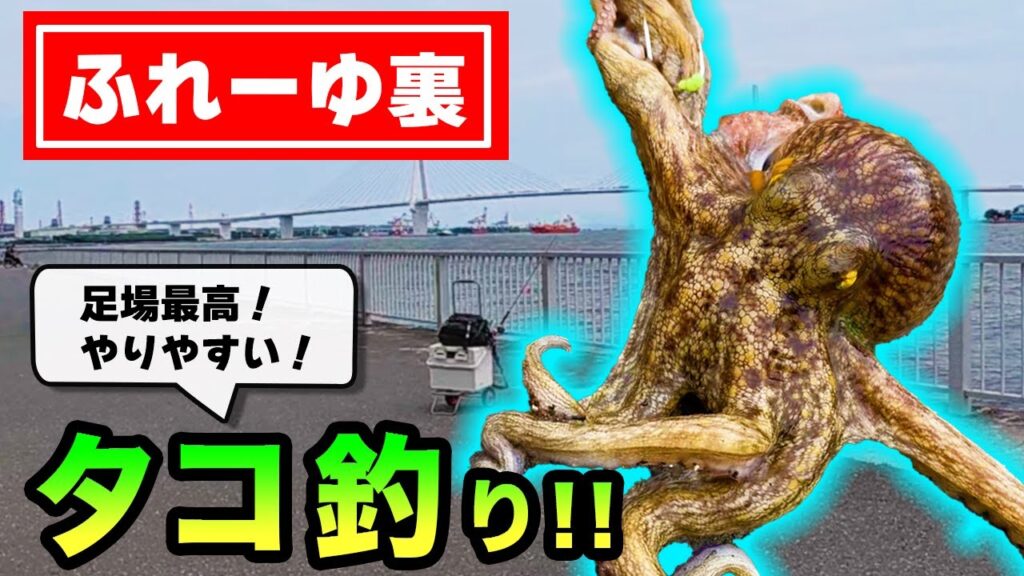 【ふれーゆ裏】足場よし！やりやすい！堤防タコ釣り♪ 〜神奈川県・横浜市のオススメ釣り場〜