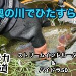 【渓流釣り】山奥の川でひたすら釣る【ルアーフィッシング】