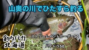 【渓流釣り】山奥の川でひたすら釣る【ルアーフィッシング】