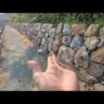 注意喚起⚠釣れた魚が狙われます🐟【浜名湖釣り】🎣