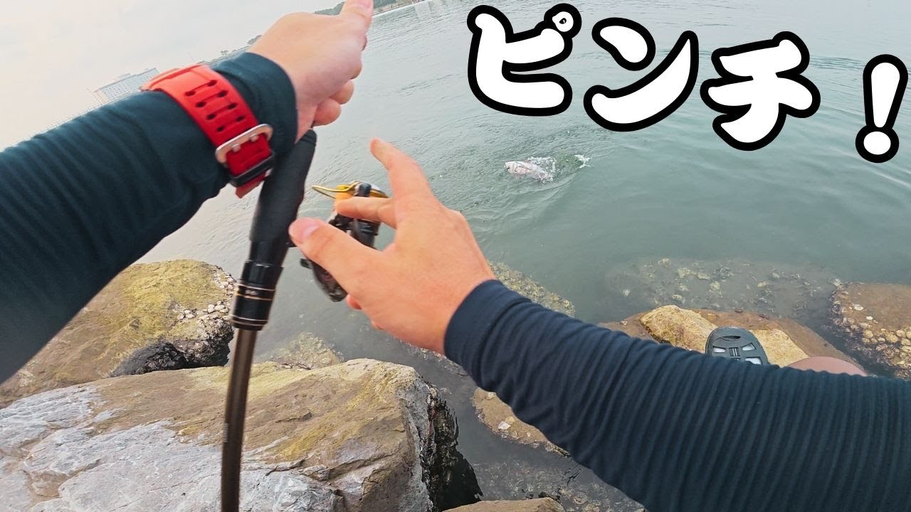 【浜名湖】ライトゲームで遊んでたらいきなり大物が!?