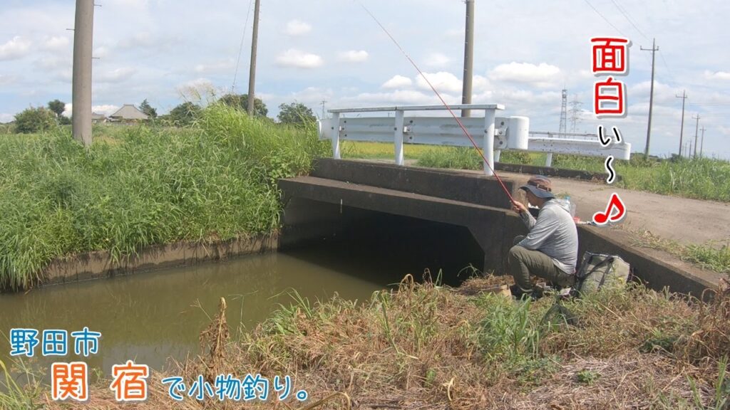 無限に釣れる田舎の水路が面白い！！ 千葉県 野田市関宿で小物釣り。