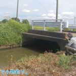 無限に釣れる田舎の水路が面白い！！ 千葉県 野田市関宿で小物釣り。