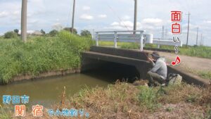 無限に釣れる田舎の水路が面白い！！ 千葉県 野田市関宿で小物釣り。