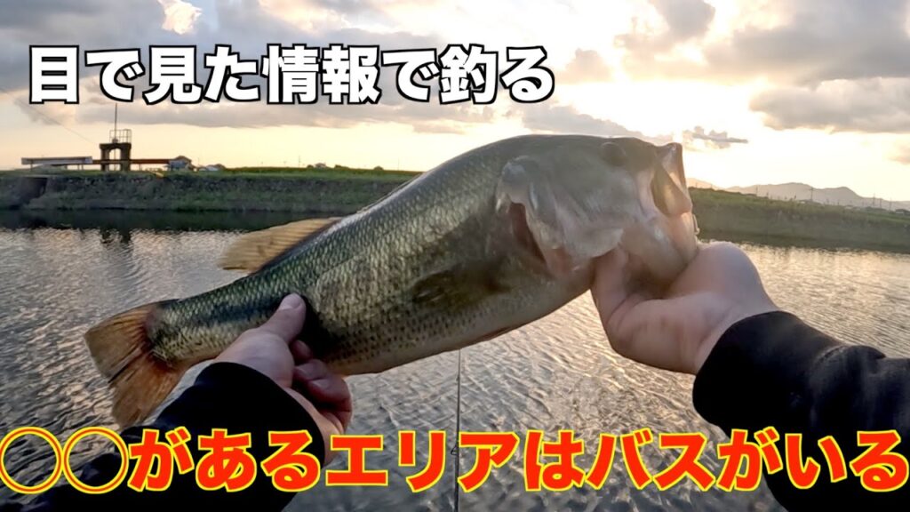 【バス釣り】目で見た情報はバスを釣るためには大事なこと