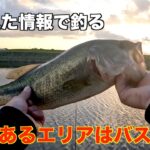 【バス釣り】目で見た情報はバスを釣るためには大事なこと