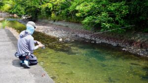 【三重へ釣り旅】超綺麗な川と河口で何が釣れる?
