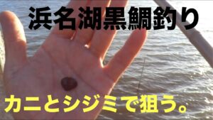 浜名湖黒鯛前打ち釣り。たぶんシジミでも釣れるだろう