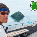 本州最北端の海でなんか釣れろ！【浅虫海づり公園】