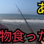 遠州灘サーフで暗い内からルアー釣り～エサ釣りやったら…