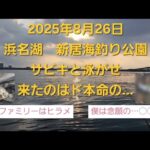 浜名湖新居海釣り公園　念願のド本命が…　サビキと泳がせ釣行～🎵