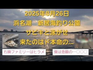 浜名湖新居海釣り公園　念願のド本命が…　サビキと泳がせ釣行～🎵